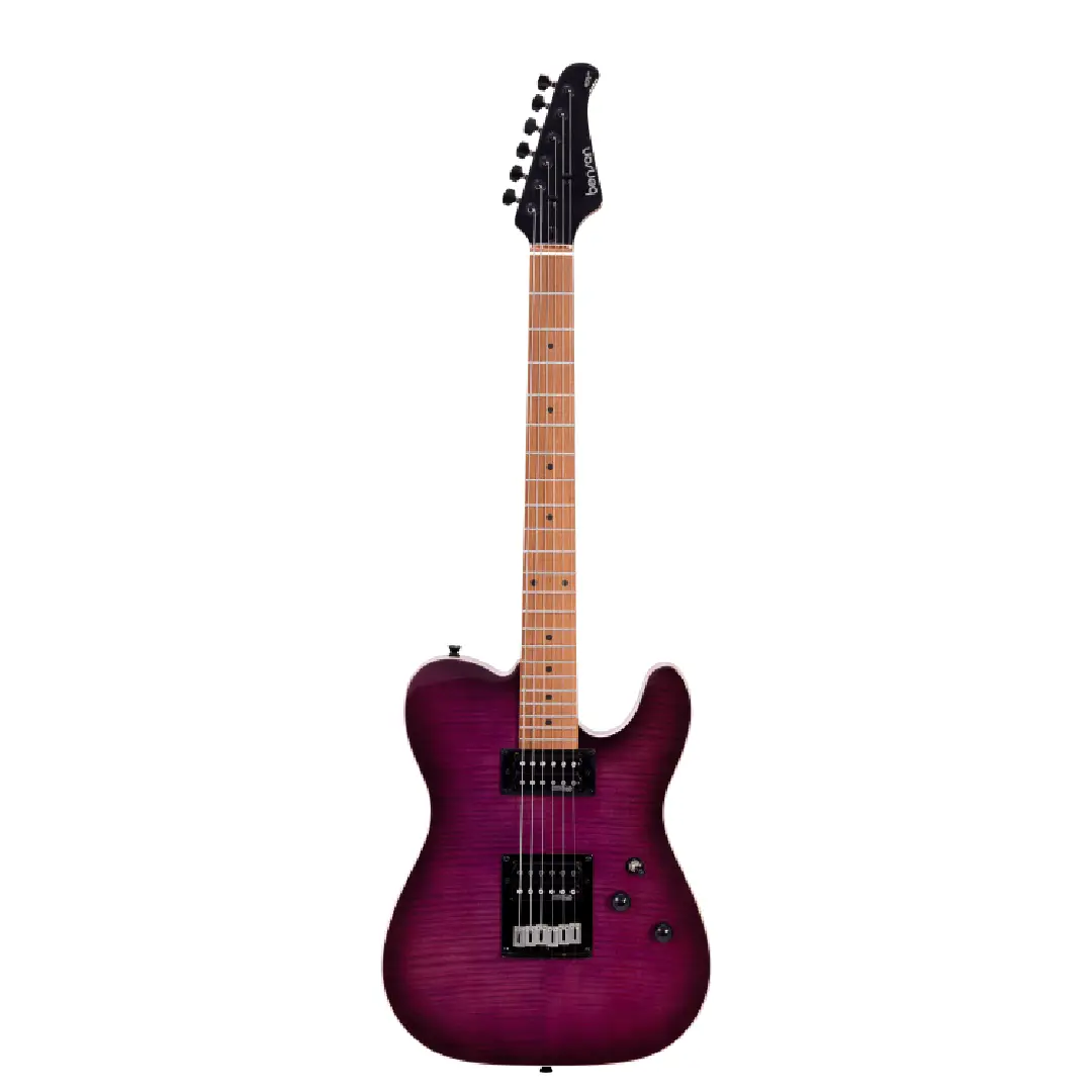 Guitarra Benson Hardy Modern HH Purple Burst